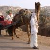 Christina & Dad on a camel cart